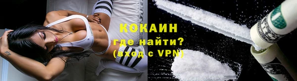 ГАЛЛЮЦИНОГЕННЫЕ ГРИБЫ Верея