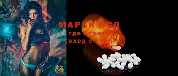 ГАЛЛЮЦИНОГЕННЫЕ ГРИБЫ Верея