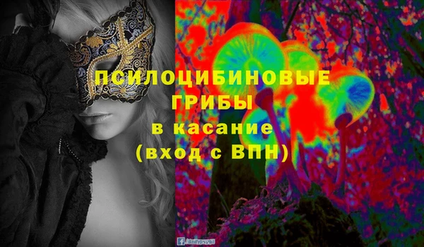 ГАЛЛЮЦИНОГЕННЫЕ ГРИБЫ Верея