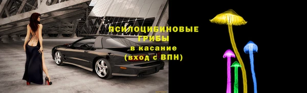 сатива Верхний Тагил