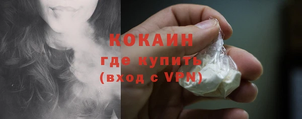 ГАЛЛЮЦИНОГЕННЫЕ ГРИБЫ Верея