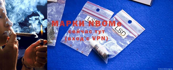 ГАЛЛЮЦИНОГЕННЫЕ ГРИБЫ Верея