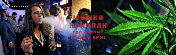 сатива Верхний Тагил